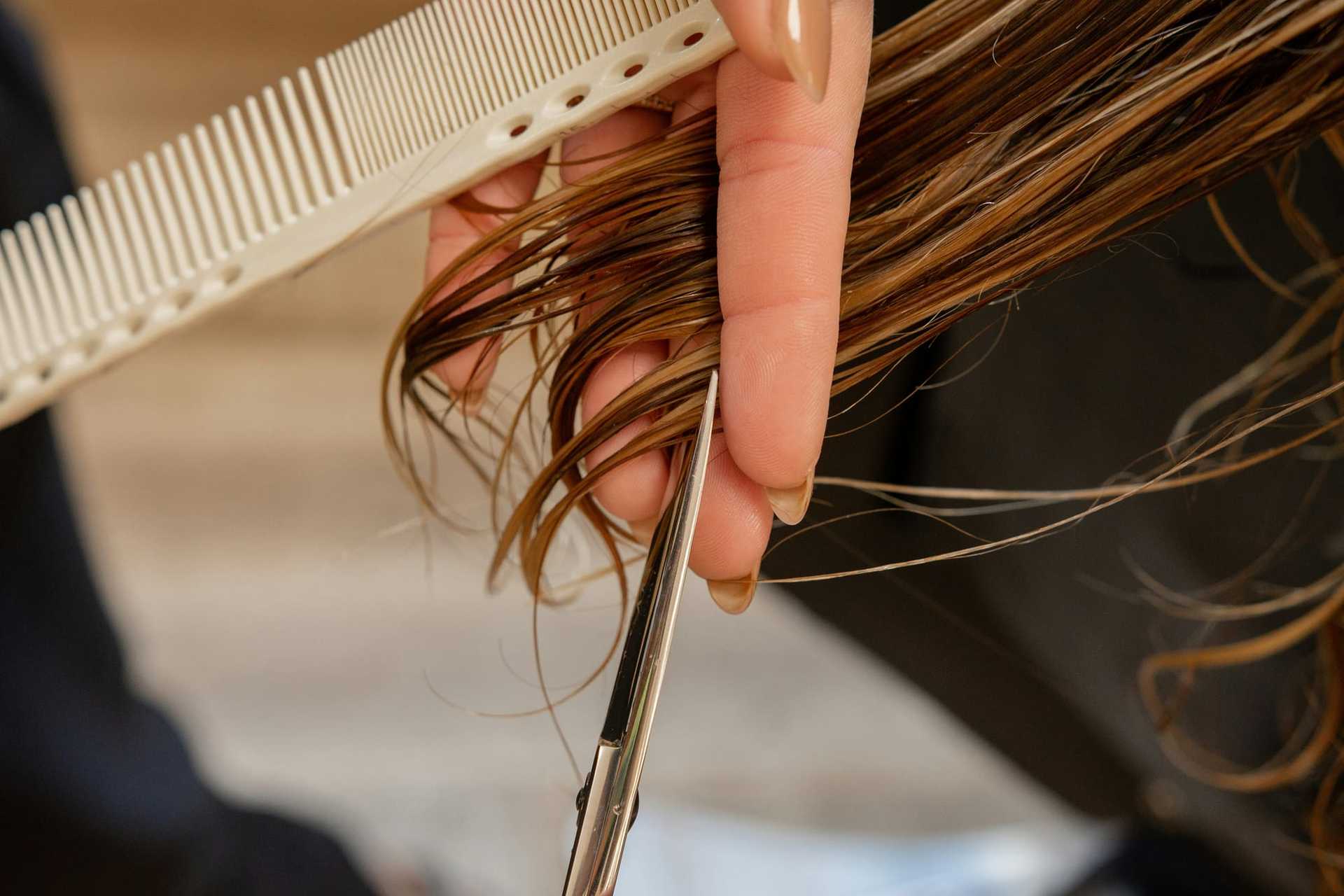 Close-up of hair being cut with scissors and comb held by a person in a salon setting.